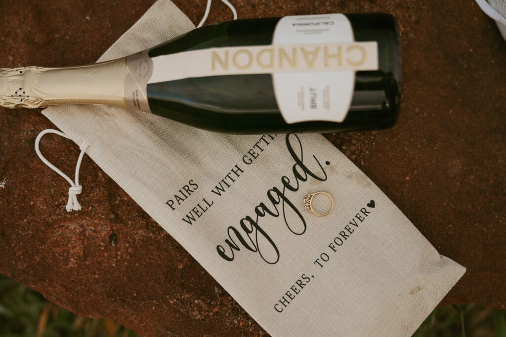 couple celebrating their engagement with champagne 