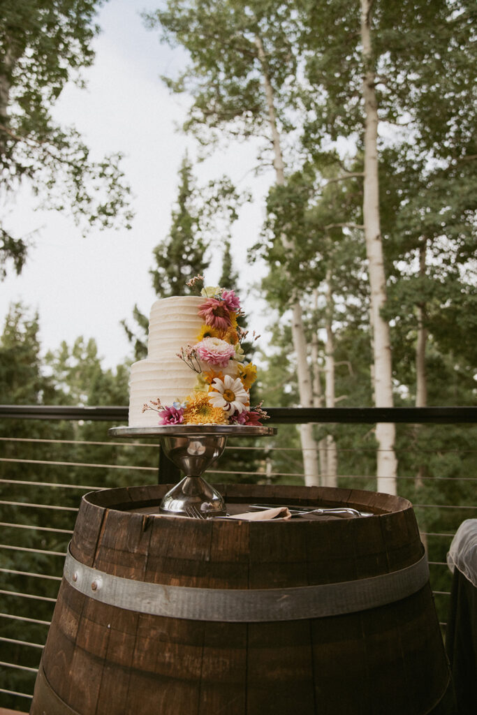stunning picture of the elopement cake