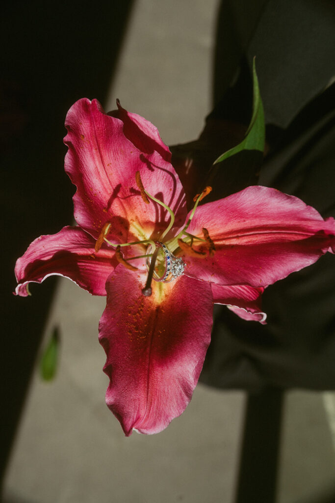 stunning closeup shot of the wedding ring