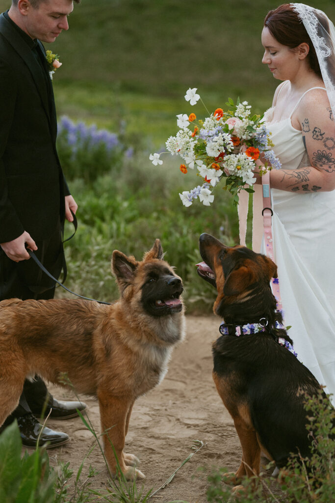 A Dog-Friendly Colorado Elopement in Crested Butte | Chloe & Keaton