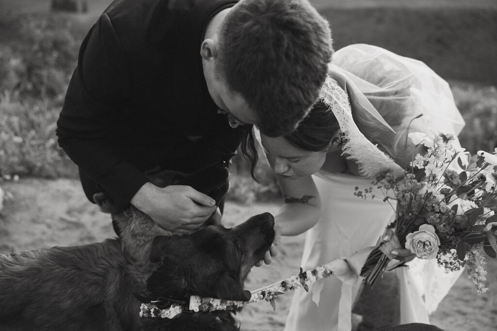 cute picture of the newlyweds and their dogs
