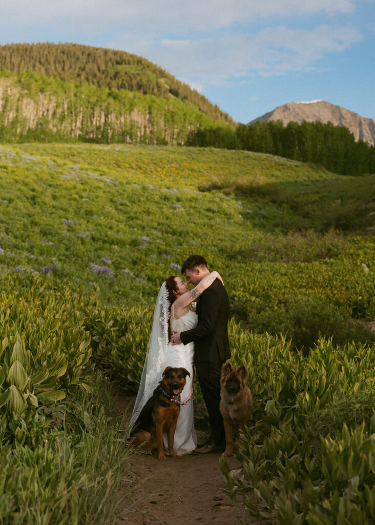 cute picture of the newlyweds kissing