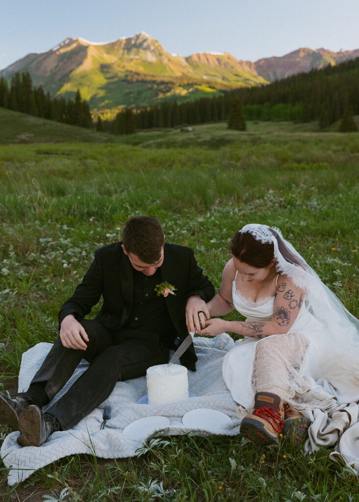 cute picture of the newlyweds cutting their wedding cake