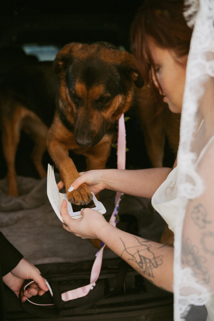 romantic elopement in colorado